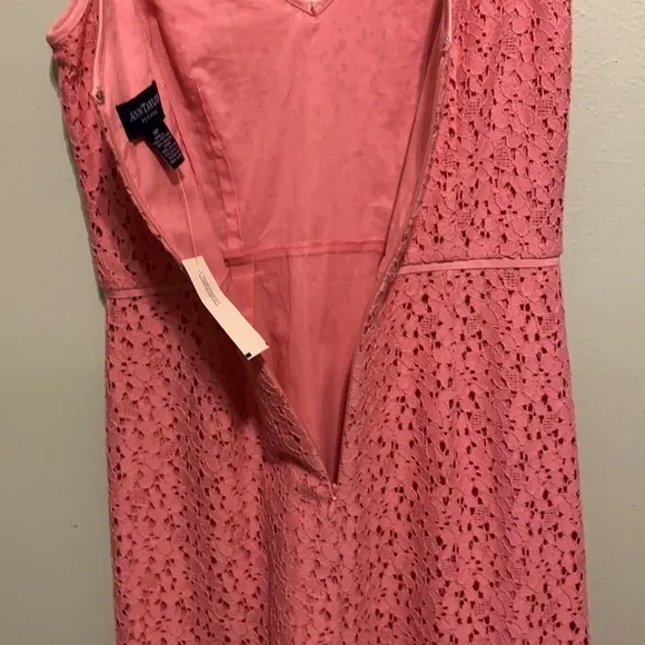 Ann Taylor | Pink Floral Sleeveless Midi Dress | NWT