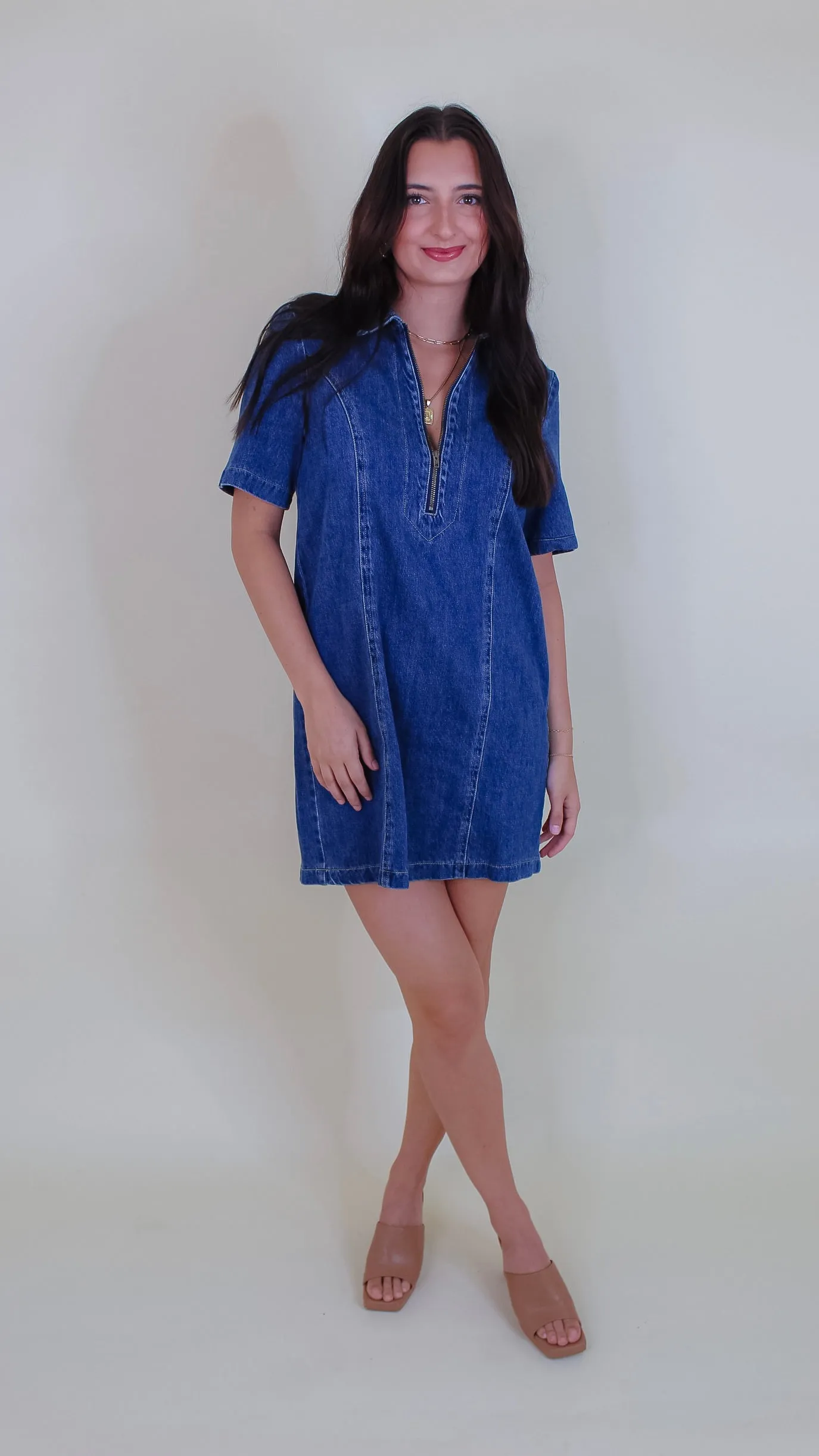 Ashton Denim Dress