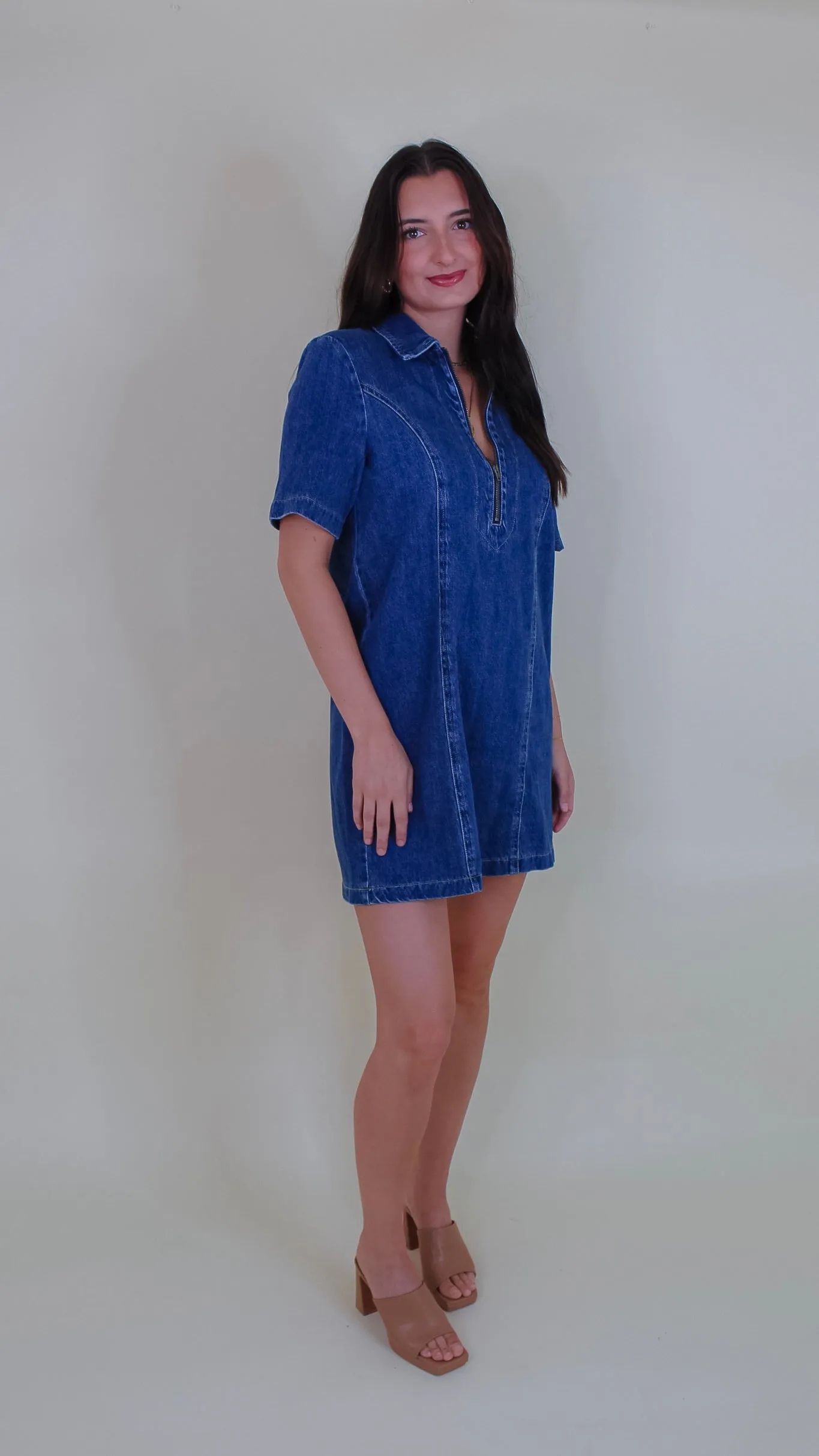 Ashton Denim Dress