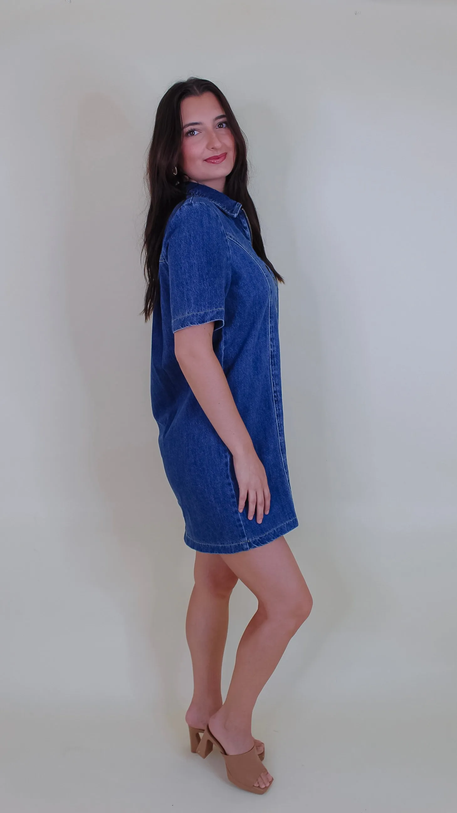 Ashton Denim Dress