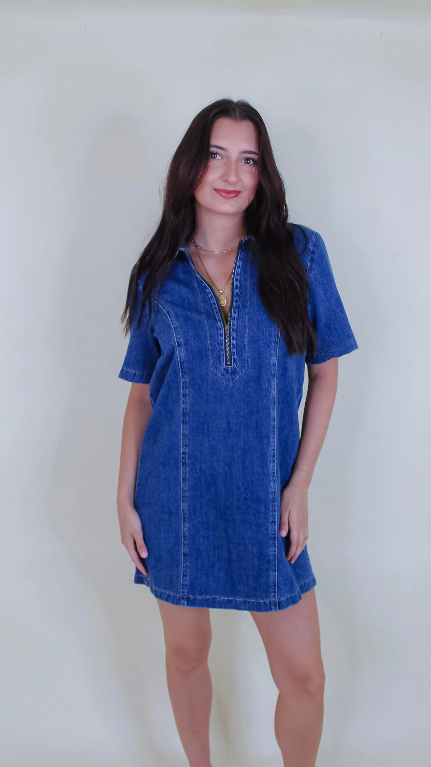 Ashton Denim Dress