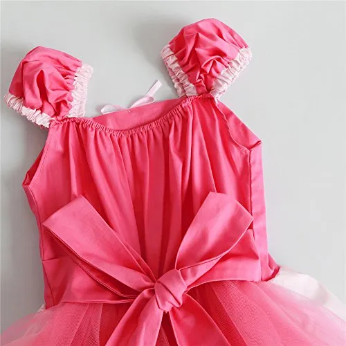 Baby Girls Princess Costume Dress