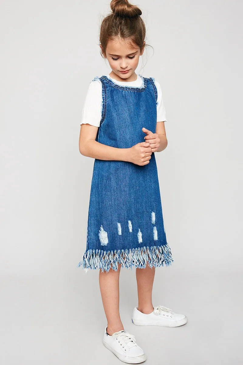 Denim Sleeveless Dress