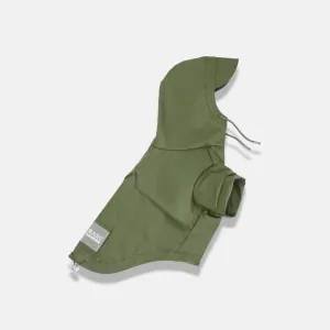 Green Dog Raincoat