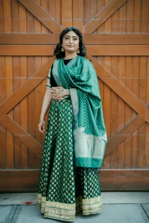 Hima Lehenga - Rental